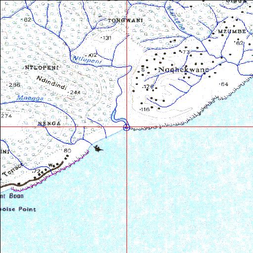 Ntlupeni Temporarily open/closed estuary.